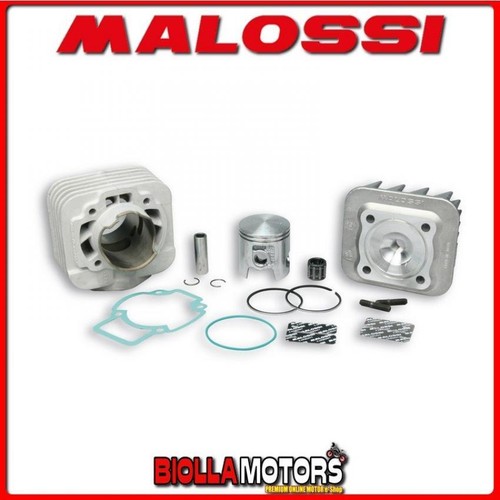 318463 gruppo termico malossi - gruppo,