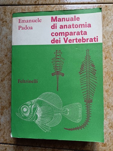 Manuale anatomia comparata - anatomia,