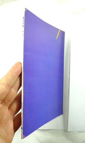 Libretto pittore cinese - libretto,