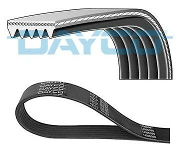 Cinghia poly dayco - cinghia,