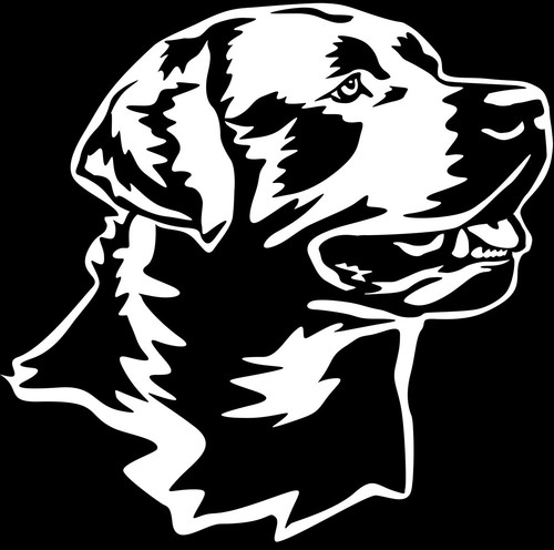 Adesivo labrador - labrador,