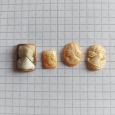 Cammeo Camei Cameos Conchiglia