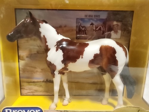 Cavallo americano lucido