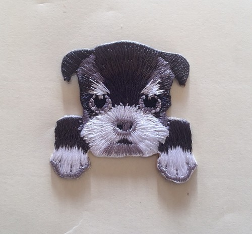 Yorkshire terrier puppy head - terrier,