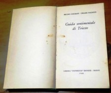 lx c1 - GUIDA SENTIMENTALE DI