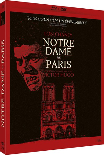 Notre dame paris combo - notre-dame,