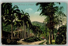 10749613 - Colón Ancon Hill