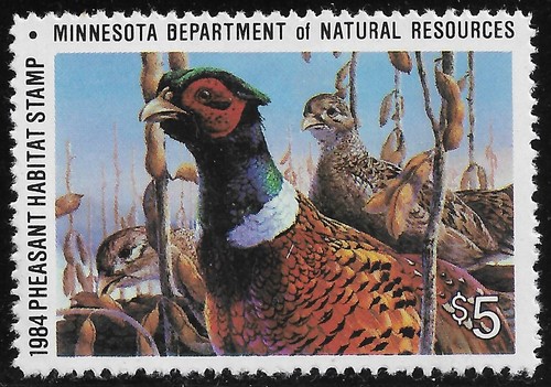 Entrate stato caccia - entrate, mn