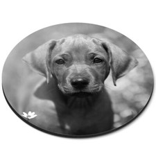 Tappetino per topi rotondo