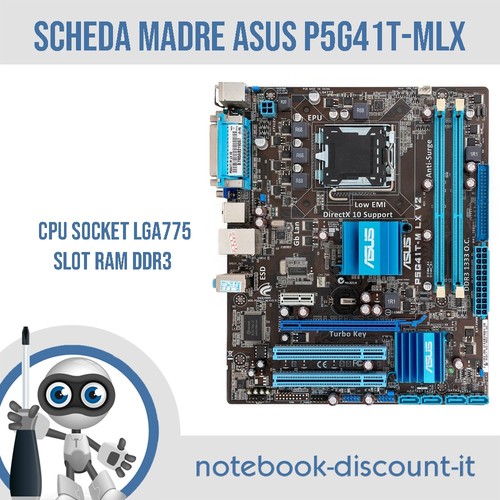 Scheda madre asus - scheda,