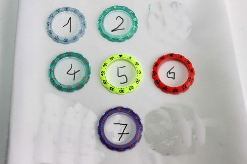 Ghiera orologio swatch - ghiera, scuba