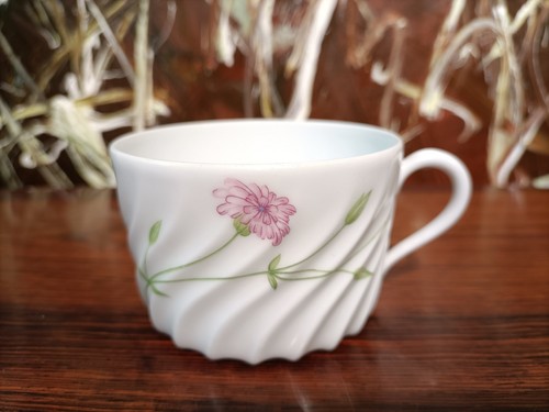 Haviland limoges france torse - limoges,