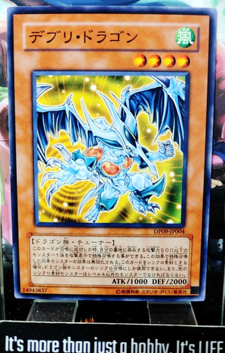 Drago detriti dp09 jp004 - detriti, dp09-jp004