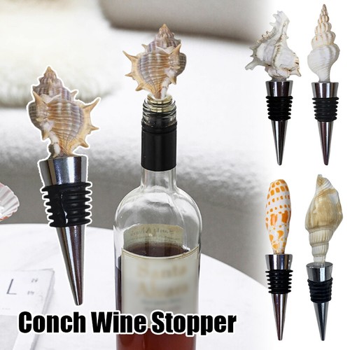 1pz conchiglia naturale mare - naturale,