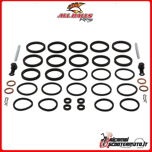 Kit revisione pinza freno - pinza,