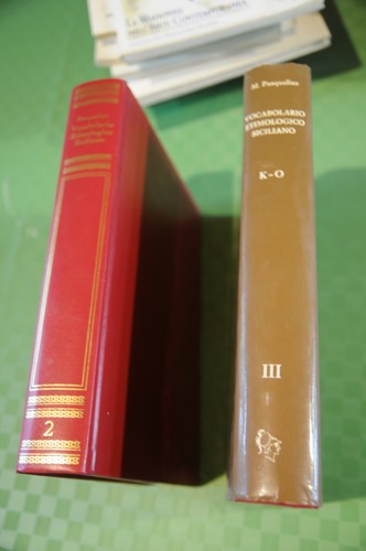 Vocabolario etimologico - vocabolario,