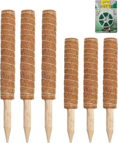 Poste musgo para - para, 6