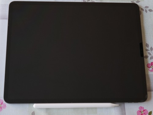 Apple ipad pro gen 256gb - ipad,