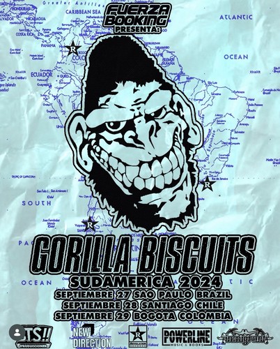 Gorilla biscotti sudamerica - biscotti,