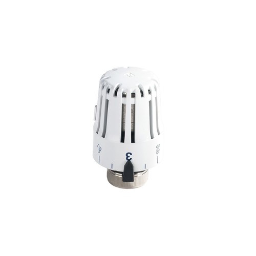 Pintossi 0013030000 testa - 0013030000,