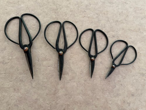 Forbici per bonsai giapponesi