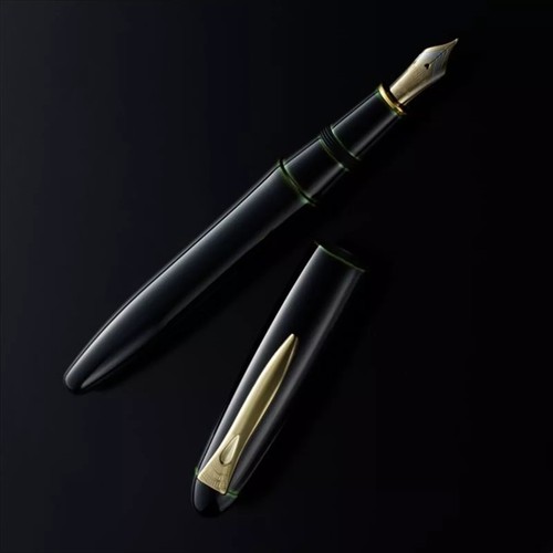 Penna stilografica platinum - penna,