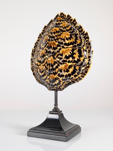 Lampada guscio tartaruga - guscio, di