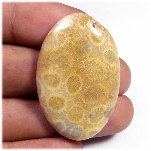 Naturale giallo fossilizzato - naturale,