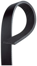 GATES 7PK1785 Cinghia con