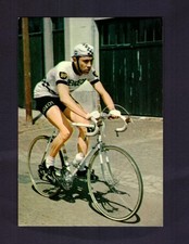 Cartolina Panini Eddy Merckx