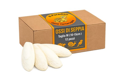 Ossa seppia 12 - ossa, (10-15