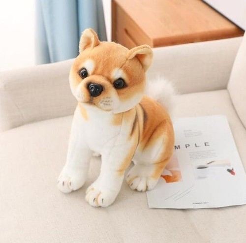 Nuovo shiba inu cucciolo cane - nuovo,