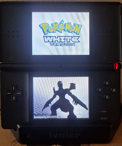 Scheda per nintendods - r4,