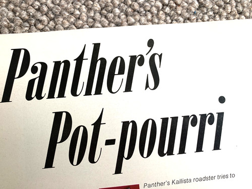 Panther kallista 1980s - panther,
