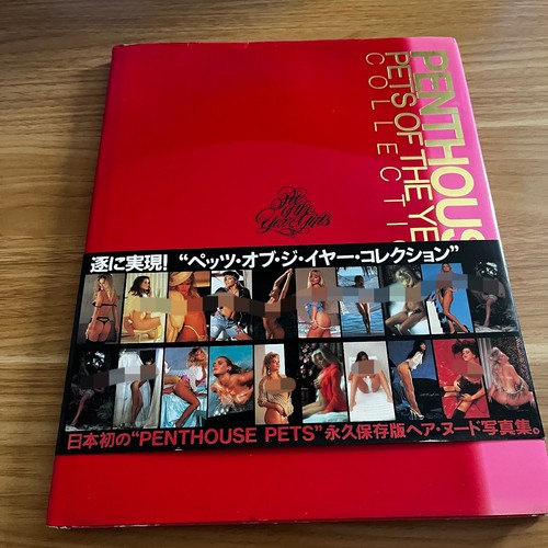 Libro arte giapponese - libro, d'arte