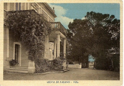 Selva fasano - , (