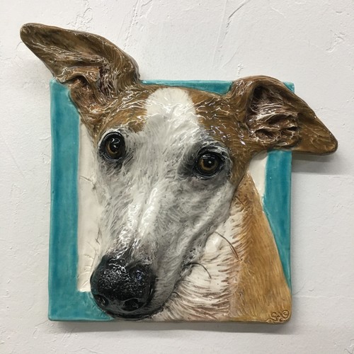 Greyhound whippet cucciolo - greyhound,