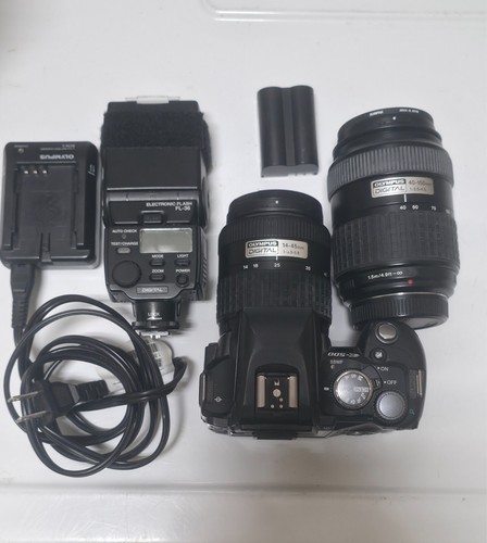 Sensore ccd olympus evolt - ccd,