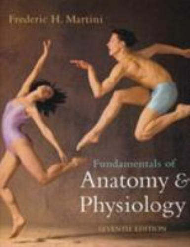 Fundamentals anatomy - fundamentals, of