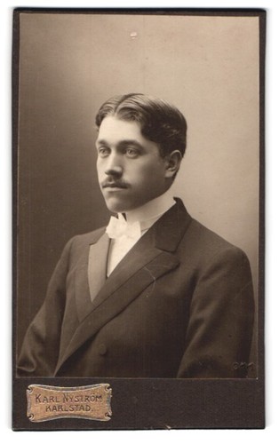 Fotografie karl nyström - karl,