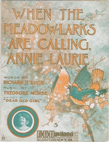 When the meadow - the, meadow-allodole