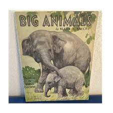 Big Animals by Klara E