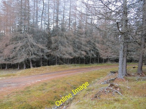 Photo 6x4 amenity - amenity, strip