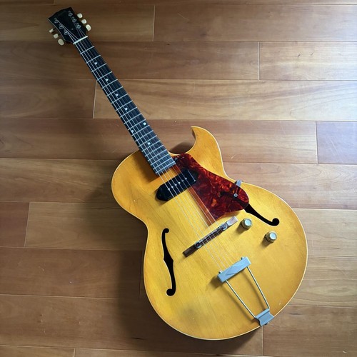 Chitarra elettrica acustica
