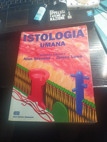 Istologia umana stevens lowe - stevens,