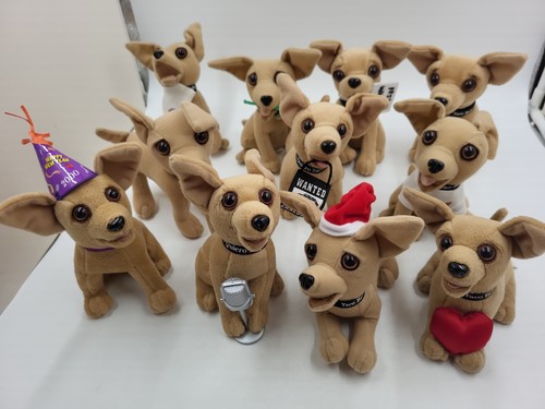 Peluche cane quiero - cane,