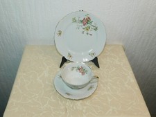 Tazza da Caffè Con Piattino + Piatto Torta Collezione Produttore Schwarzenhammer