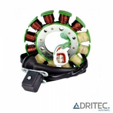 ✅ Alternatore Statore Yamaha