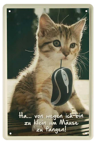 Gatto per causa sono - ''gatto, ha..