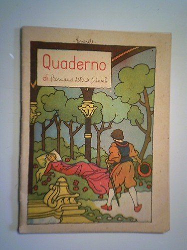 Quaderno scolastico - quaderno,